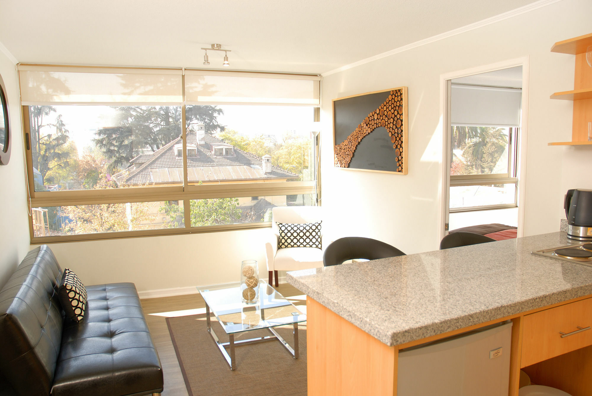 Apart Hotel Providencia サンティアゴ エクステリア 写真